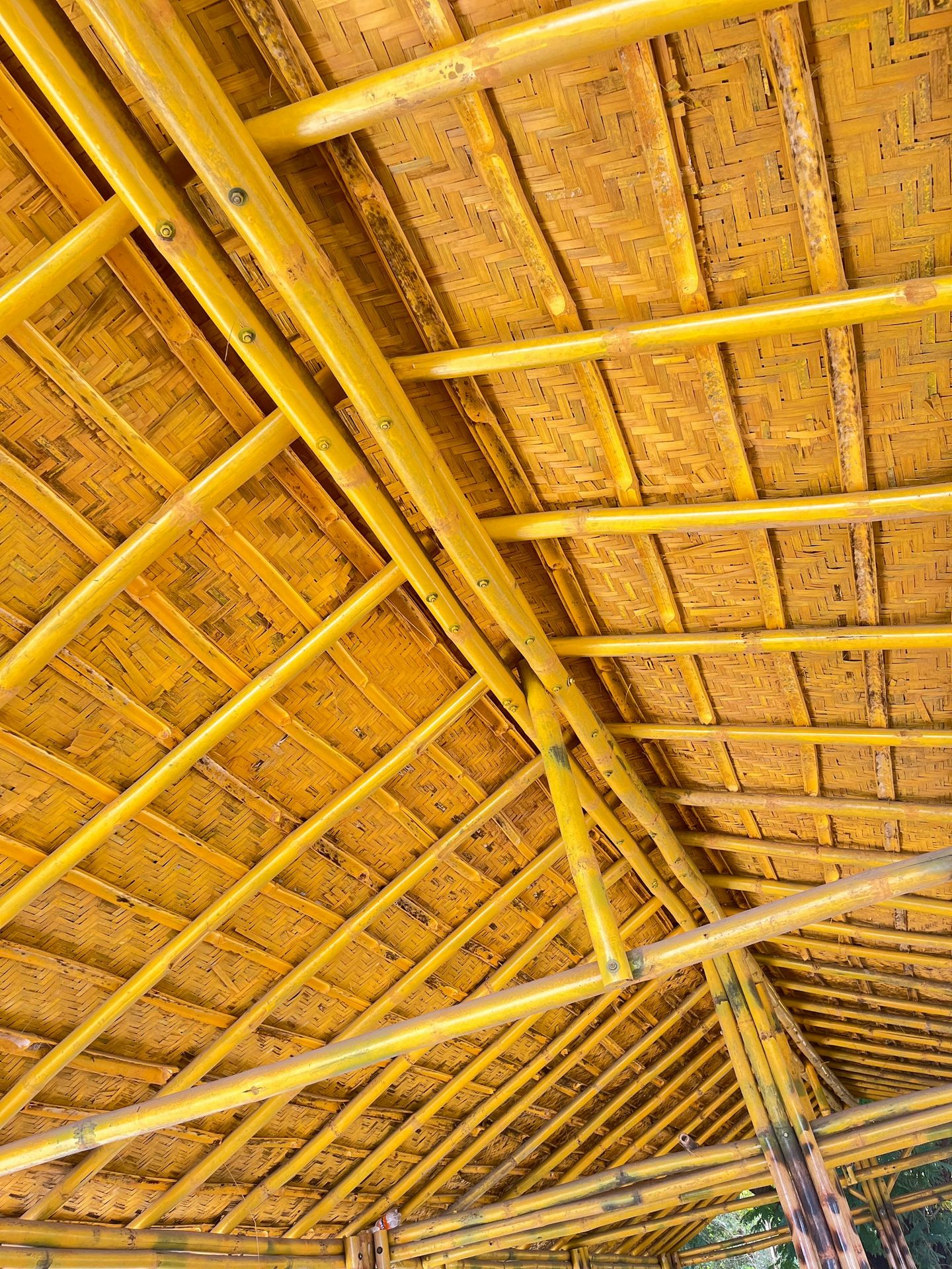 bamboo roof structure with diagonal beams